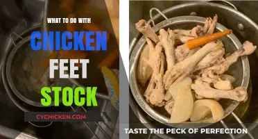 Creative Ways to Use Chicken Feet Stock in Your Kitchen