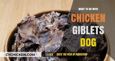 Creative Ways to Safely Feed Your Dog Chicken Giblets