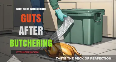 Handling Chicken Guts Post-Butchering: Sustainable and Practical Tips