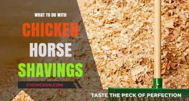 Creative Uses for Chicken Horse Shavings: Eco-Friendly Tips and Tricks
