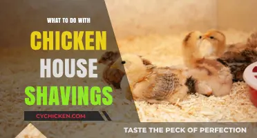 Creative Uses for Chicken House Shavings: Eco-Friendly Tips and Tricks