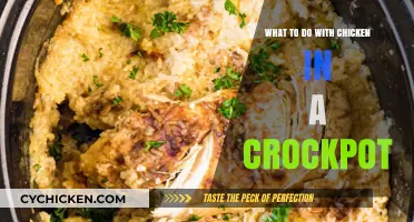 Easy Crockpot Chicken Recipes: Delicious Slow-Cooked Meals to Try