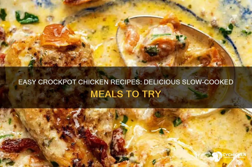 what to do with chicken in a crockpot