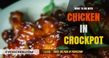 Easy Crockpot Chicken Recipes: Delicious Slow-Cooked Meals to Try