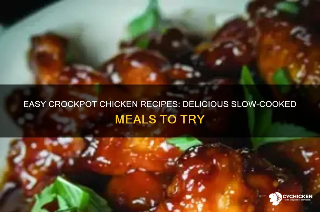 what to do with chicken in crockpot