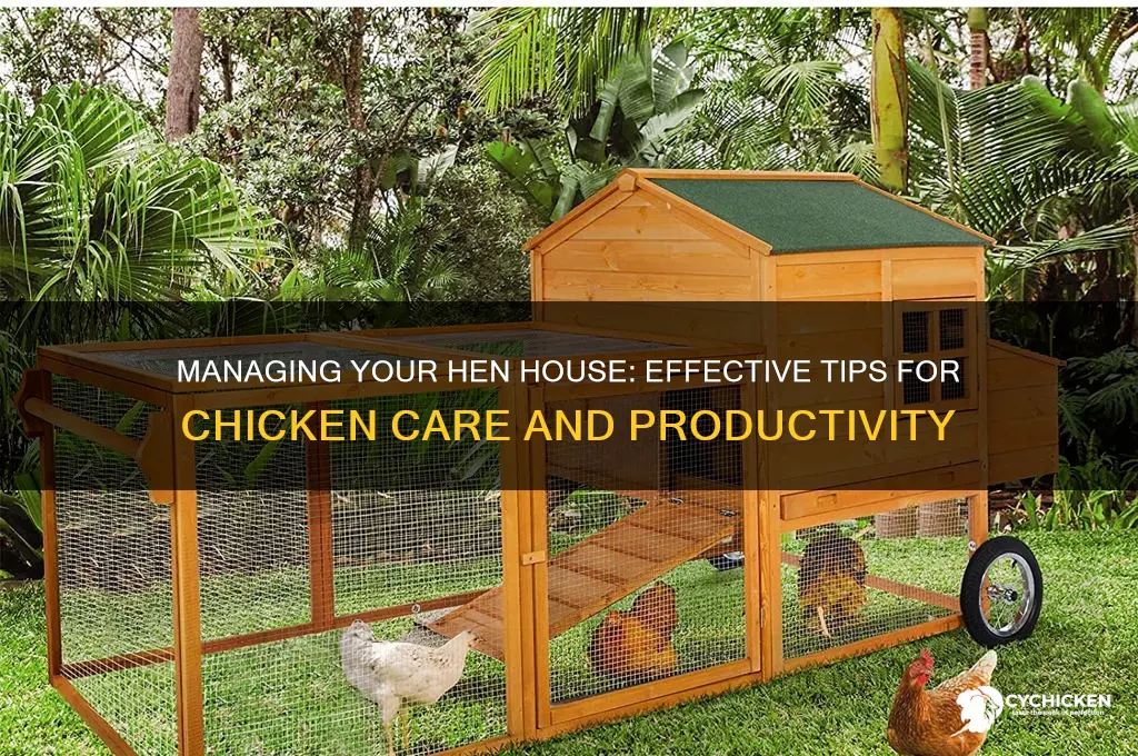 what to do with chicken in hen house