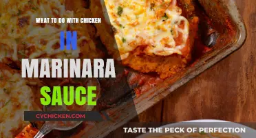 Delicious Chicken Marinara: Creative Recipes and Serving Ideas to Try