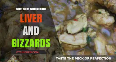 Creative Ways to Cook and Enjoy Chicken Liver and Gizzards