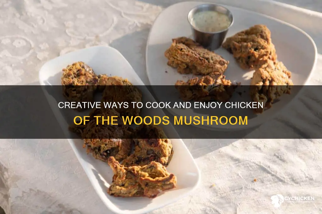 what to do with chicken of the woods