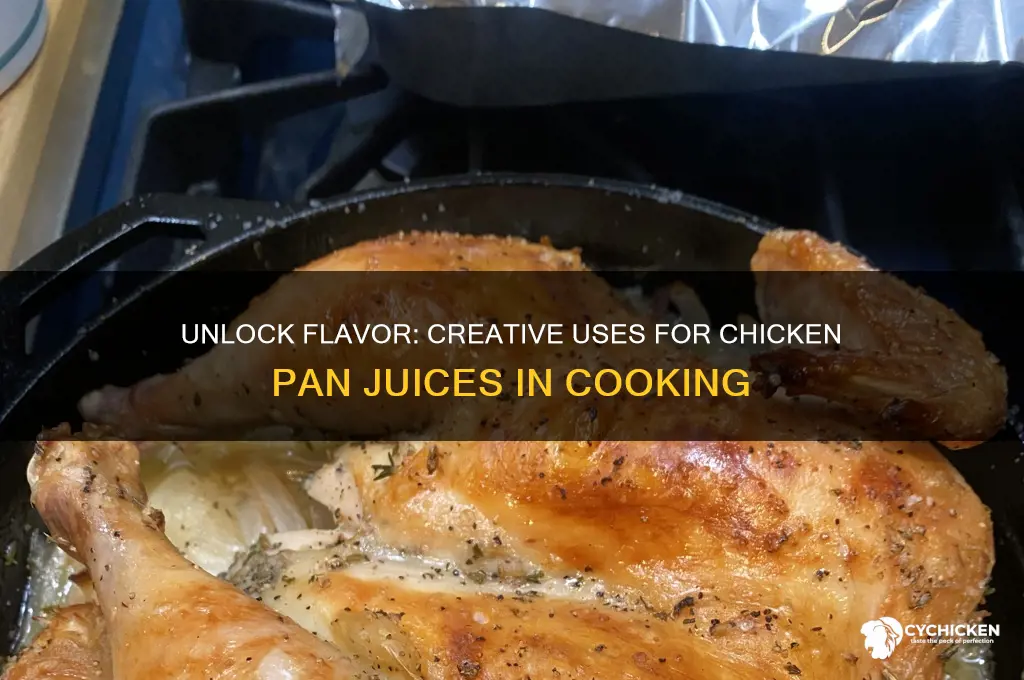 what to do with chicken pan juices