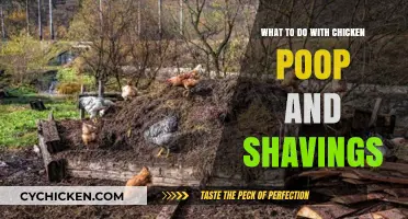 Eco-Friendly Chicken Poop and Shavings: Creative Reuse and Recycling Tips