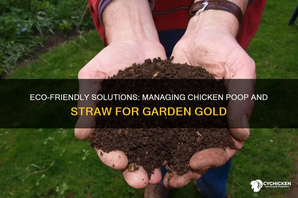 what to do with chicken poop and straw