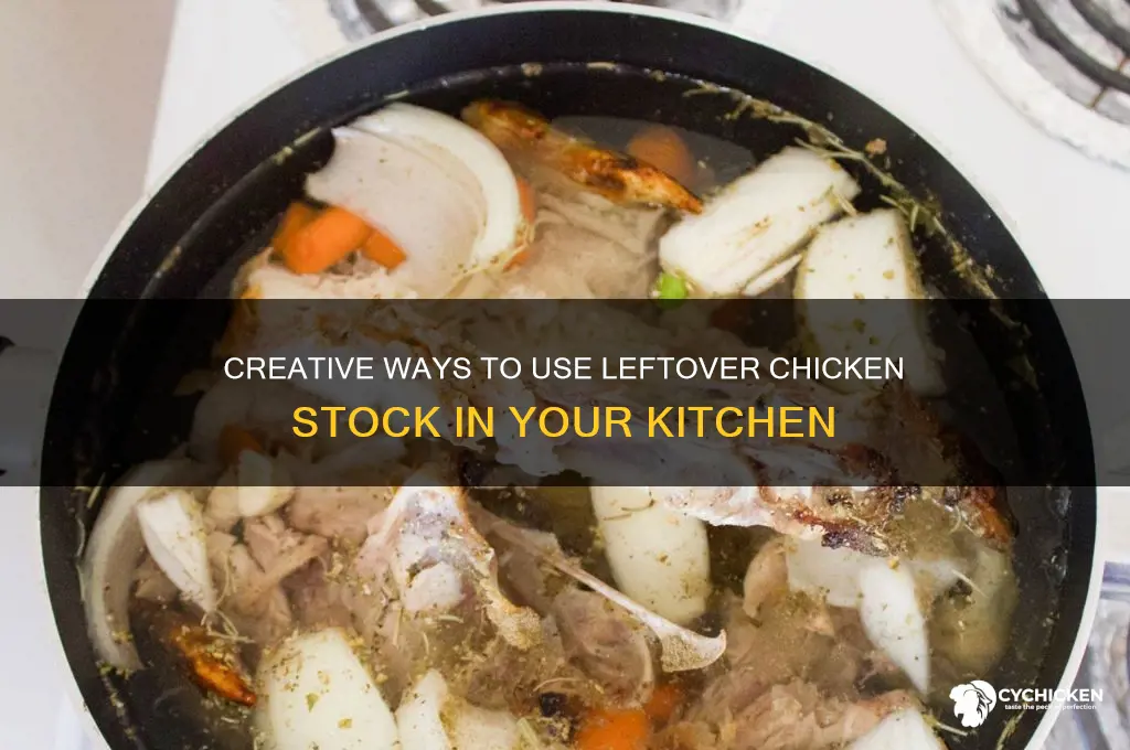what to do with chicken stock leftovers