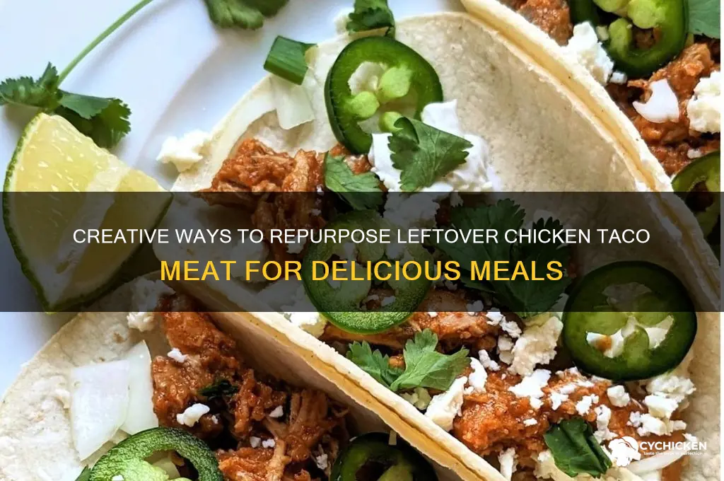 what to do with chicken taco meat