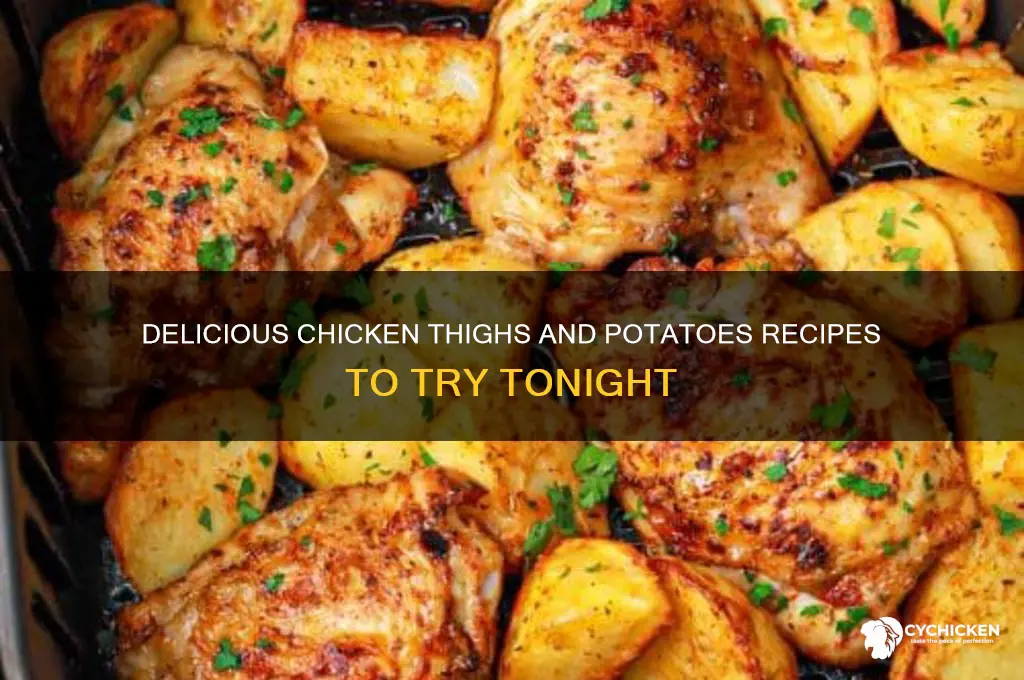what to do with chicken thighs and potatoes