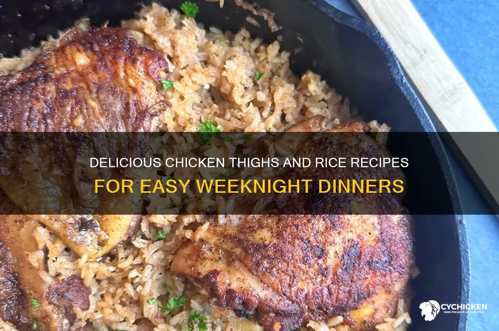 what to do with chicken thighs and rice