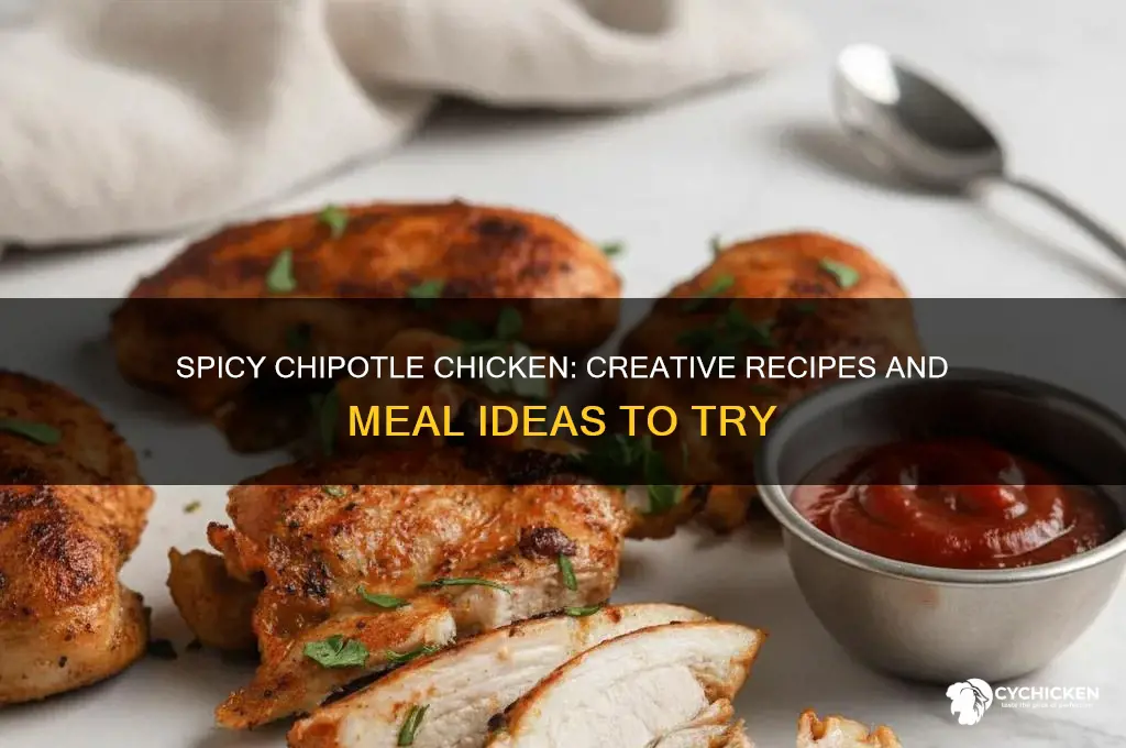 what to do with chipotle flavored chicken
