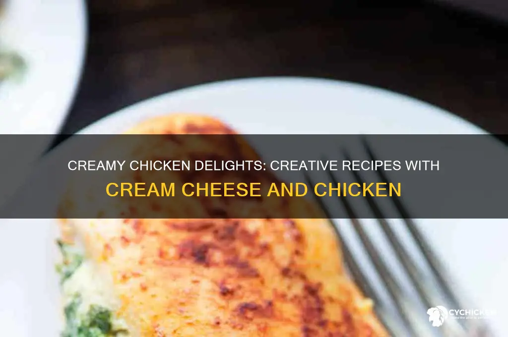 what to do with cream cheese and chicken