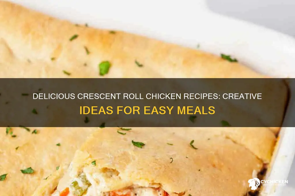 what to do with crescent rolls and chicken