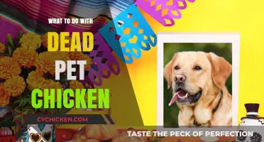 Honoring Your Feathered Friend: Compassionate Ways to Handle a Dead Pet Chicken