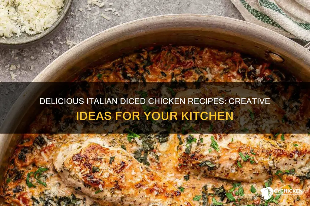 what to do with diced chicken recipes italian