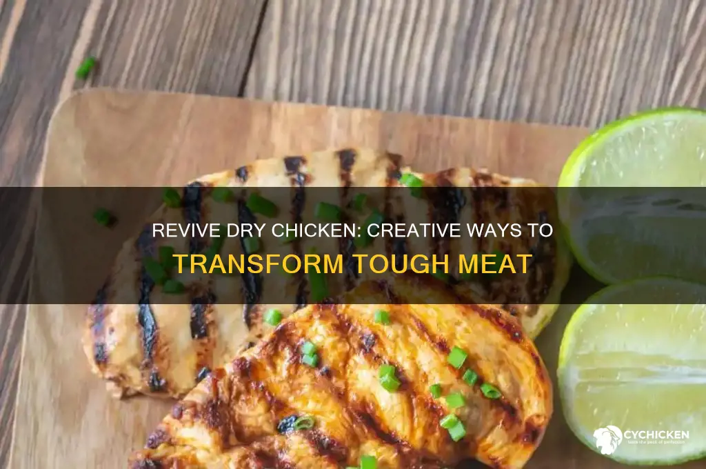 what to do with dry chicken meat