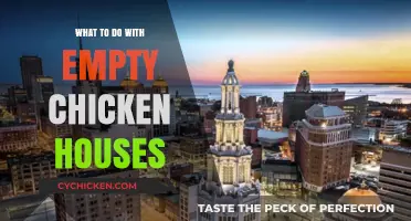 Revitalizing Empty Chicken Houses: Creative Solutions for Unused Poultry Spaces