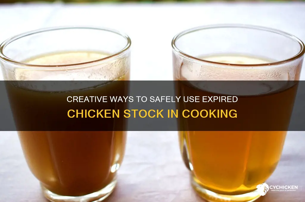 what to do with expired chicken stock