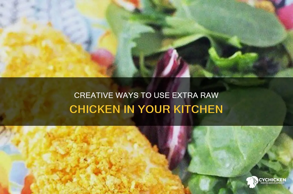 what to do with extra raw chicken