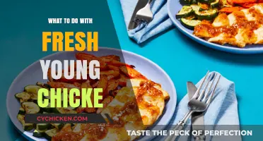 Fresh Young Chicken: Creative, Delicious, and Easy Recipe Ideas