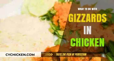 Creative Ways to Cook and Enjoy Chicken Gizzards at Home