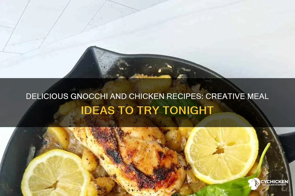 what to do with gnocchi and chicken