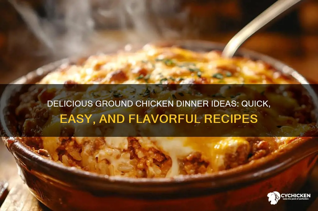what to do with ground chicken for dinner