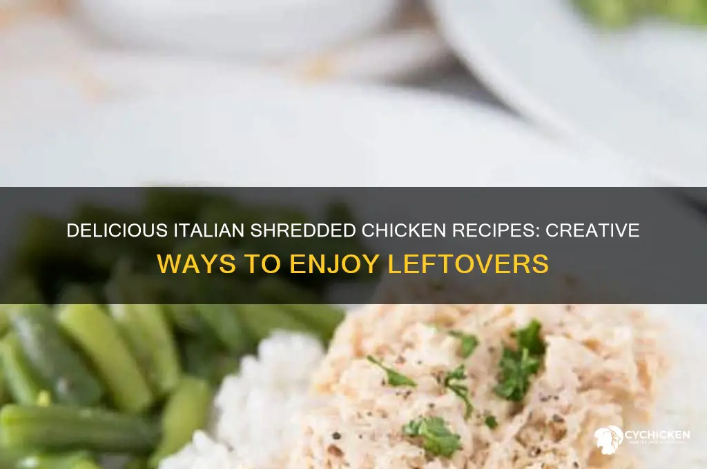what to do with italian shredded chicken