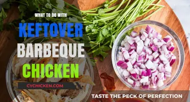 Creative Ways to Transform Leftover BBQ Chicken into Delicious Meals