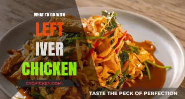 Creative Leftover Chicken Recipes: Transform Yesterday’s Meal into Today’s Delight