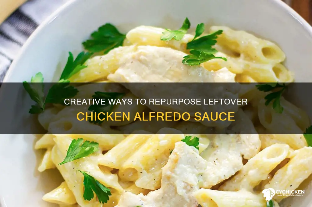 what to do with leftover chicken alfredo sauce