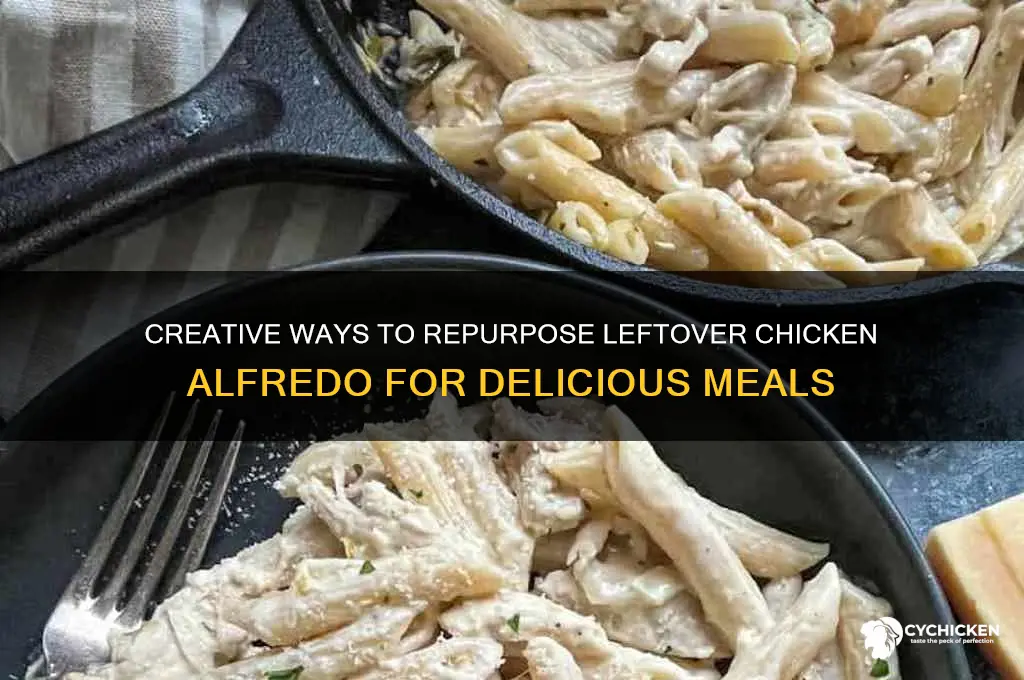 what to do with leftover chicken alfredo