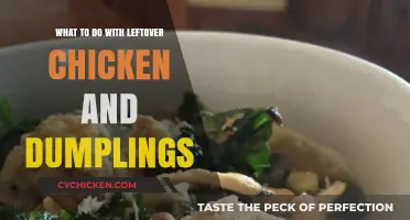 Creative Ways to Repurpose Leftover Chicken and Dumplings