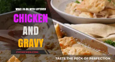 Creative Ways to Transform Leftover Chicken and Gravy into Delicious Meals