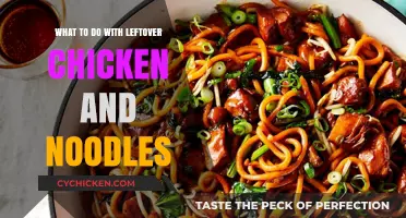 Creative Leftover Chicken and Noodle Recipes to Try Tonight