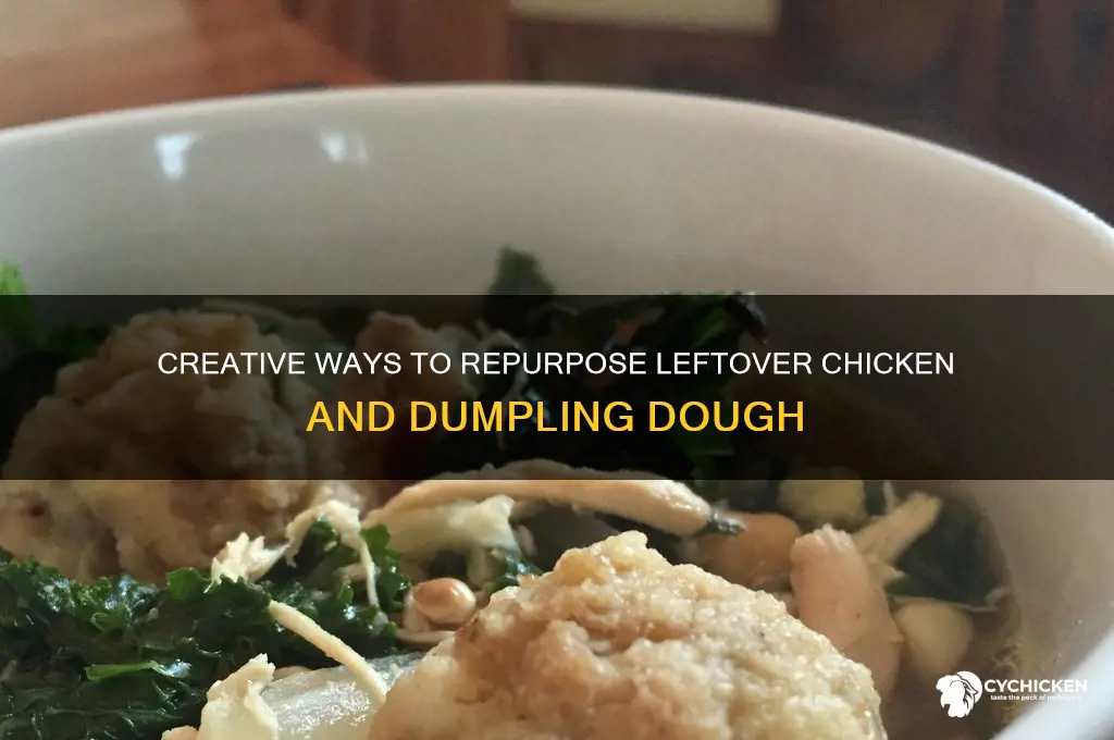 what to do with leftover chicken anddumpling dough