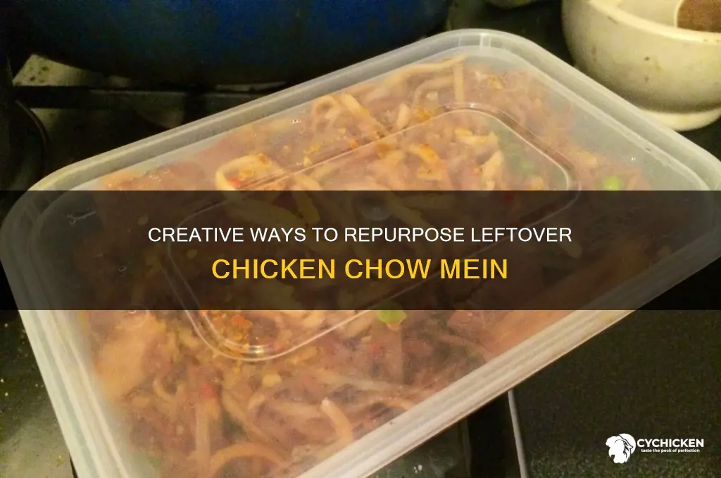 what to do with leftover chicken chow mein