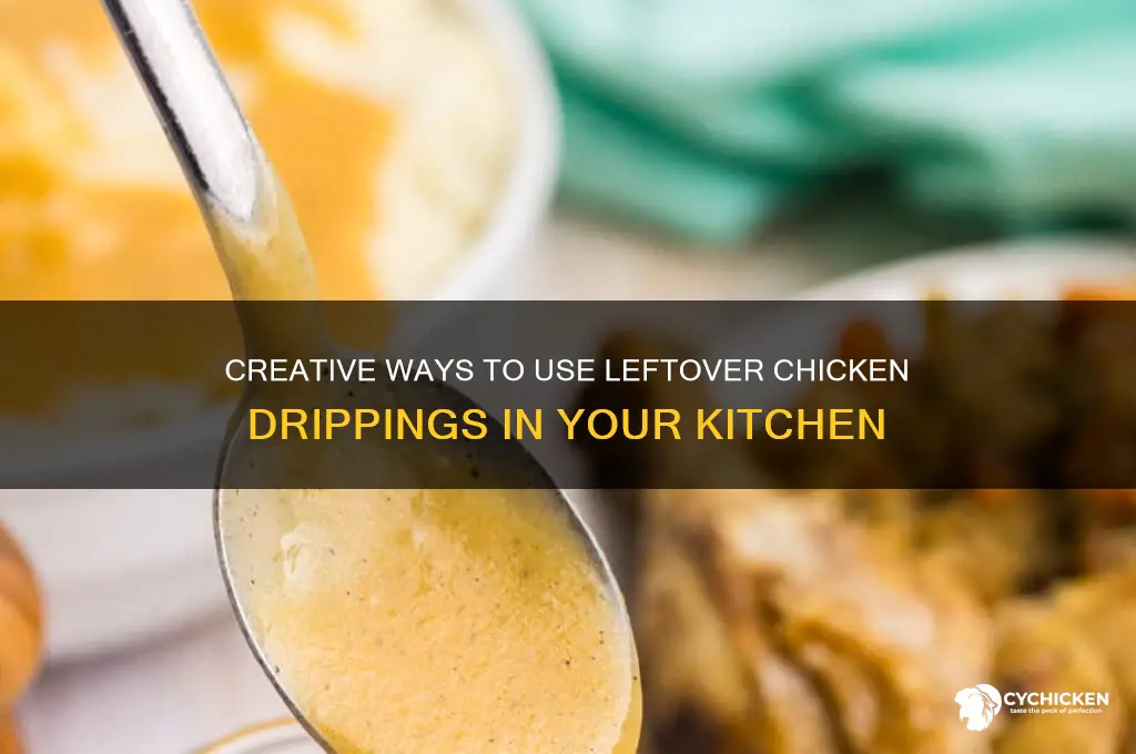 what to do with leftover chicken drippings