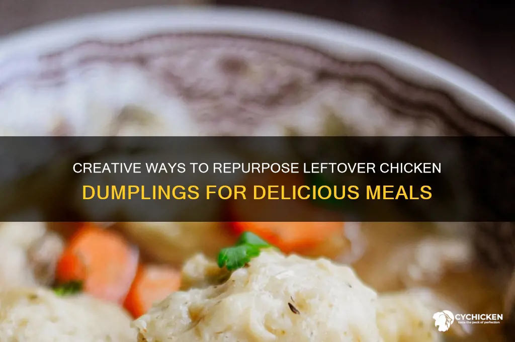 what to do with leftover chicken dumplings