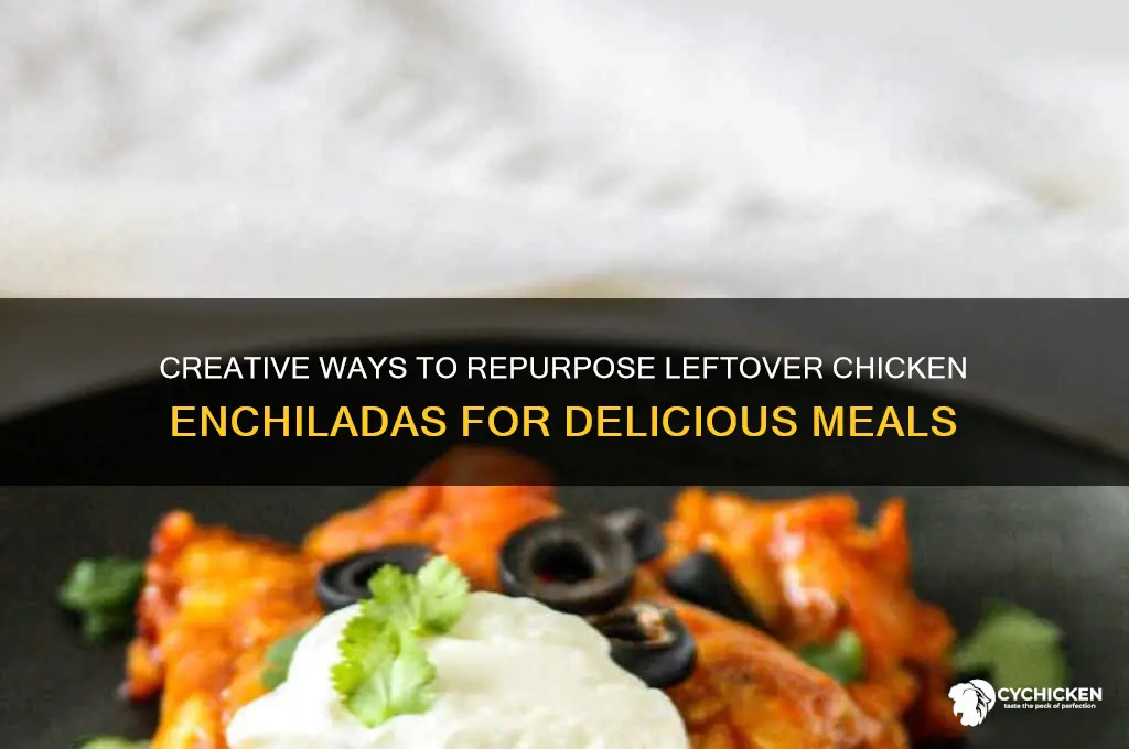 what to do with leftover chicken enchiladas