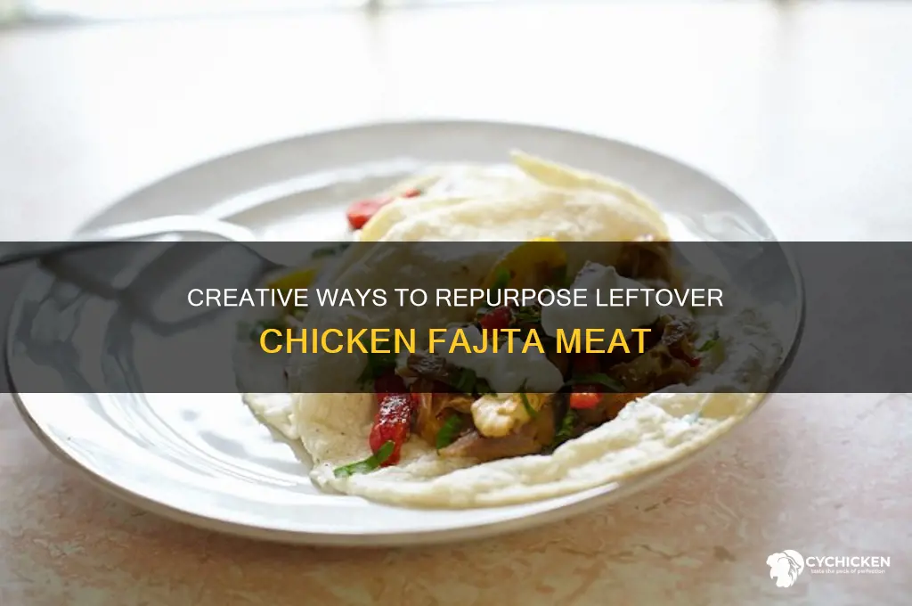 what to do with leftover chicken fajita meat