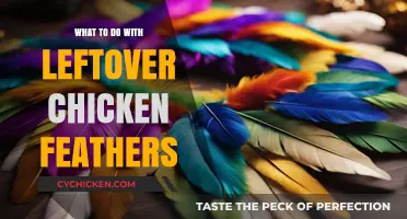 Creative Uses for Leftover Chicken Feathers: Sustainable Ideas to Try