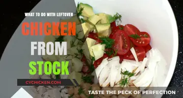 Creative Ways to Use Leftover Chicken from Stock in Meals