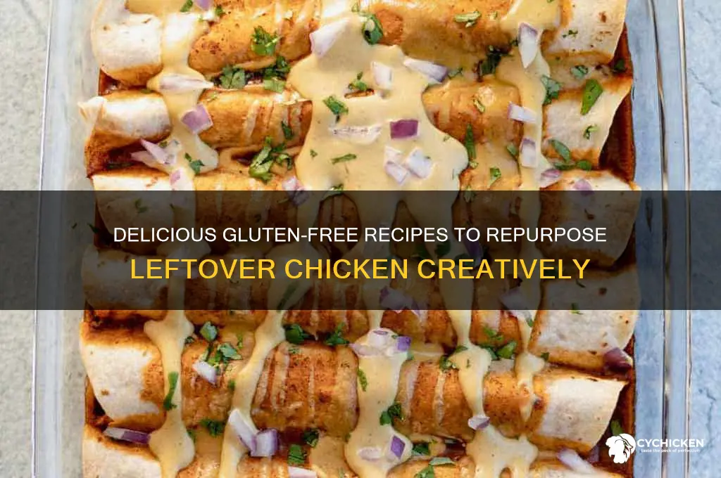 what to do with leftover chicken gluten free
